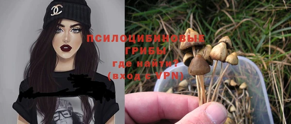 эйфоретик Протвино