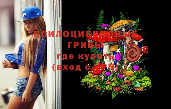 эйфоретик Протвино