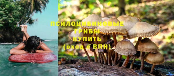 спайс Пролетарск