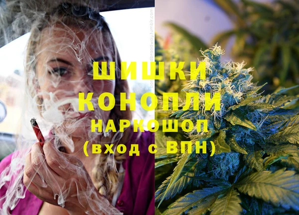 спайс Пролетарск