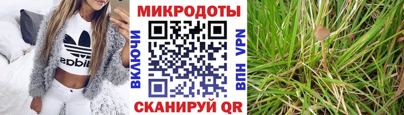 Галлюциногенные грибы Cubensis  Ростов 